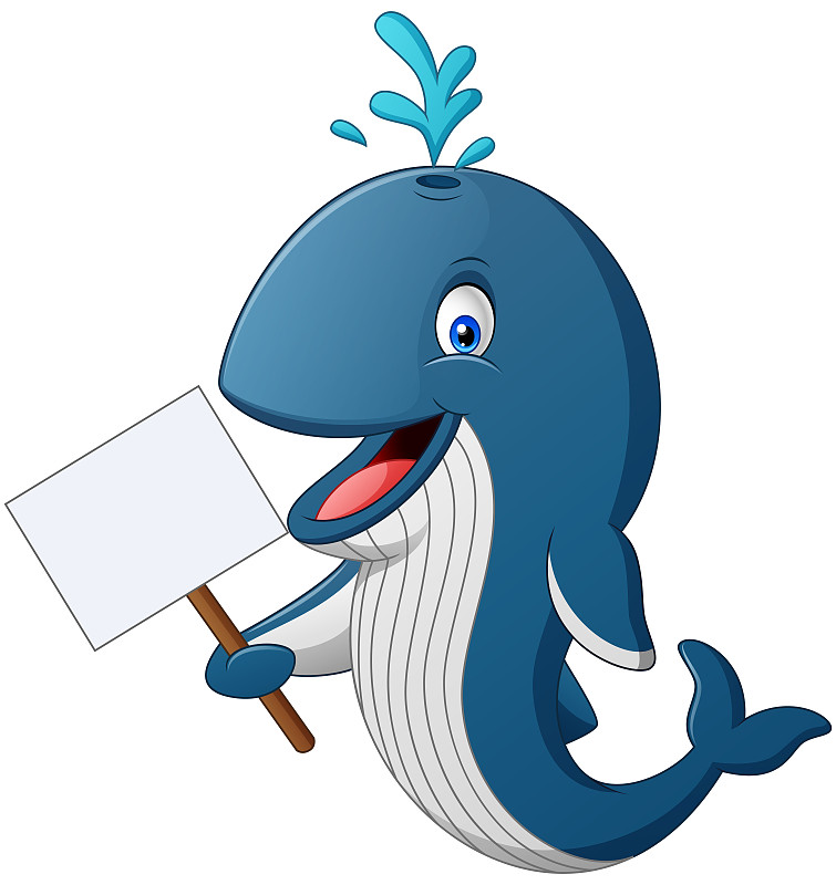 鲸鱼体育苹果版下载_(鲸鱼体育app官网入口)  第1张