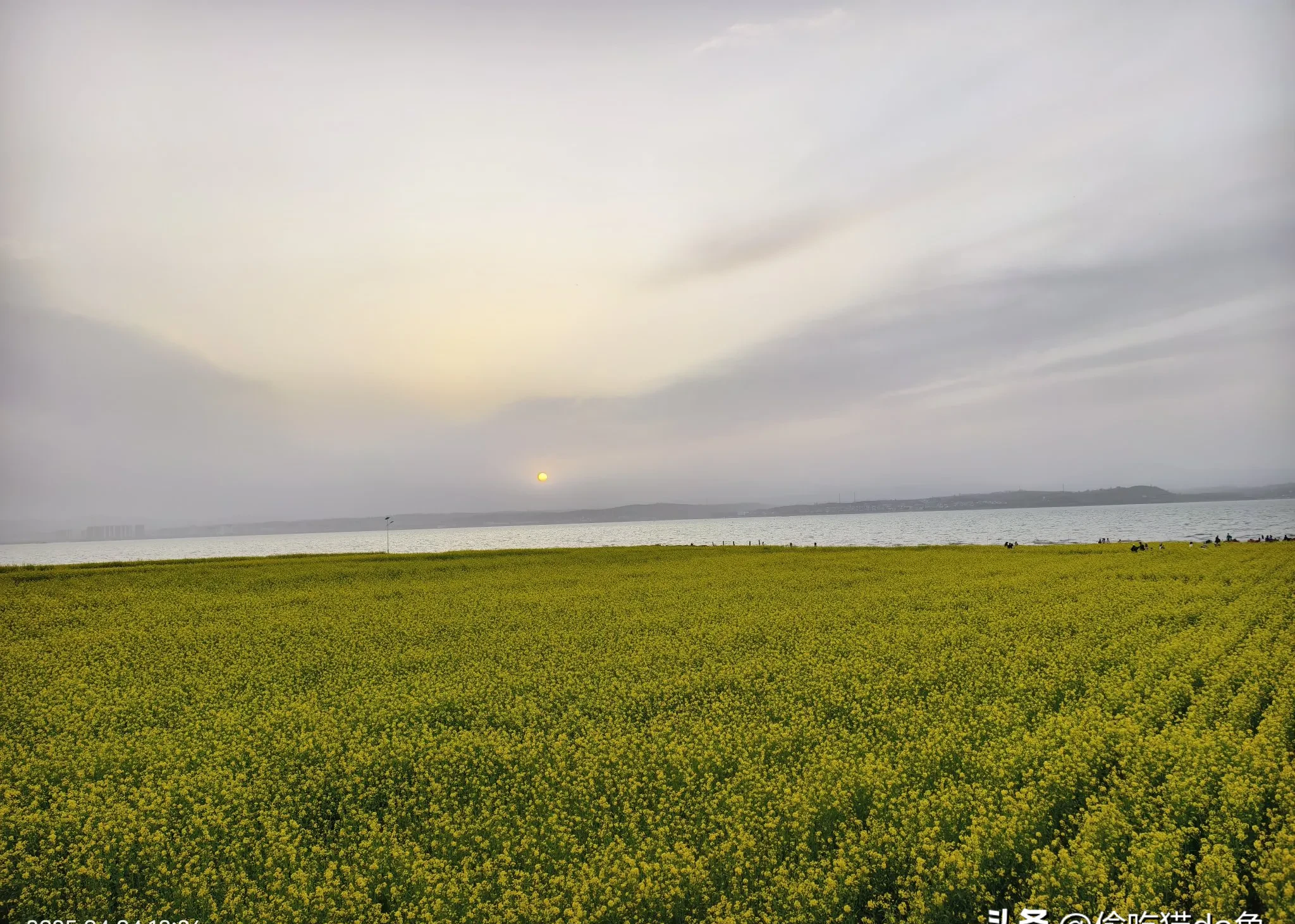 陆浑水库水来自哪里_(陆浑水库上游在什么地方)  第1张