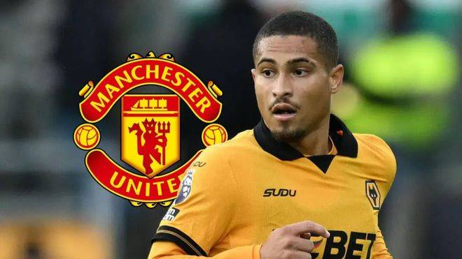 曼联有意若昂戈麦斯球员是狼队主力的简单介绍  第2张