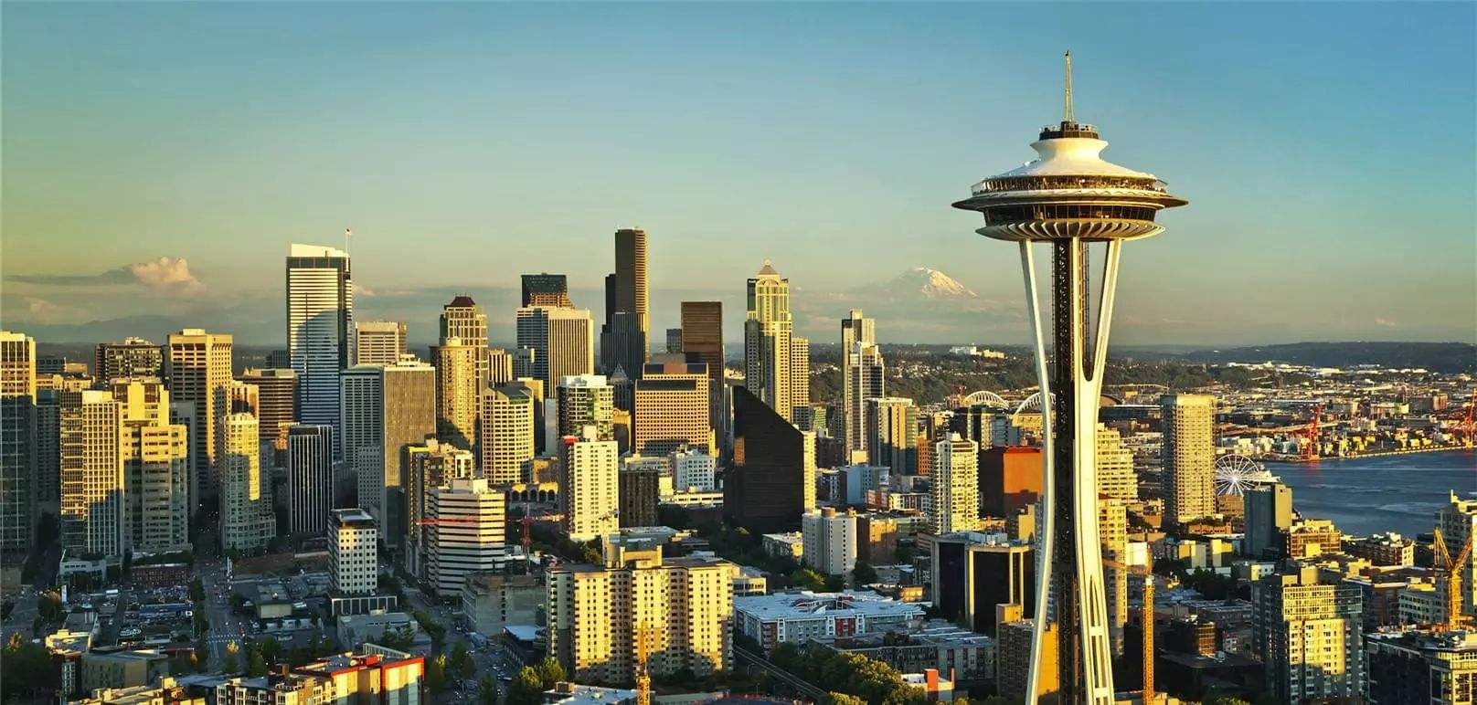 德下萨克联：维丹VS胡苏美尔的简单介绍  第2张