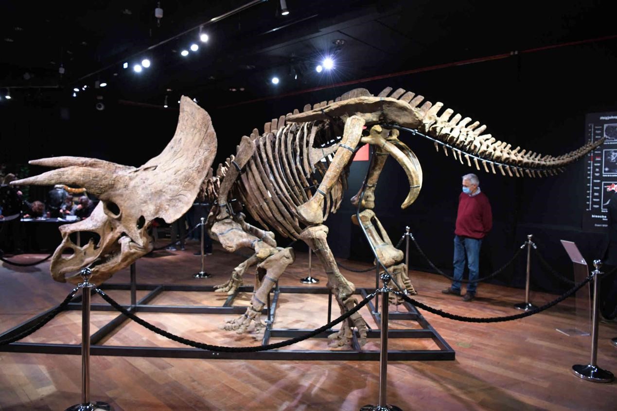 NCAA:洛约拉马利蒙特大学VS佛罗里达大西洋大学的简单介绍 第2张 NCAA:洛约拉马利蒙特大学VS佛罗里达大西洋大学的简单介绍 第2张