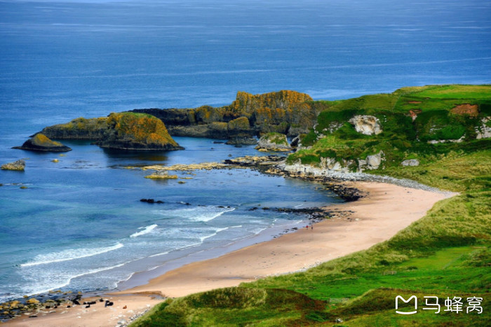 爱篮超:圣文森都柏林VS海王星科克的简单介绍  第2张