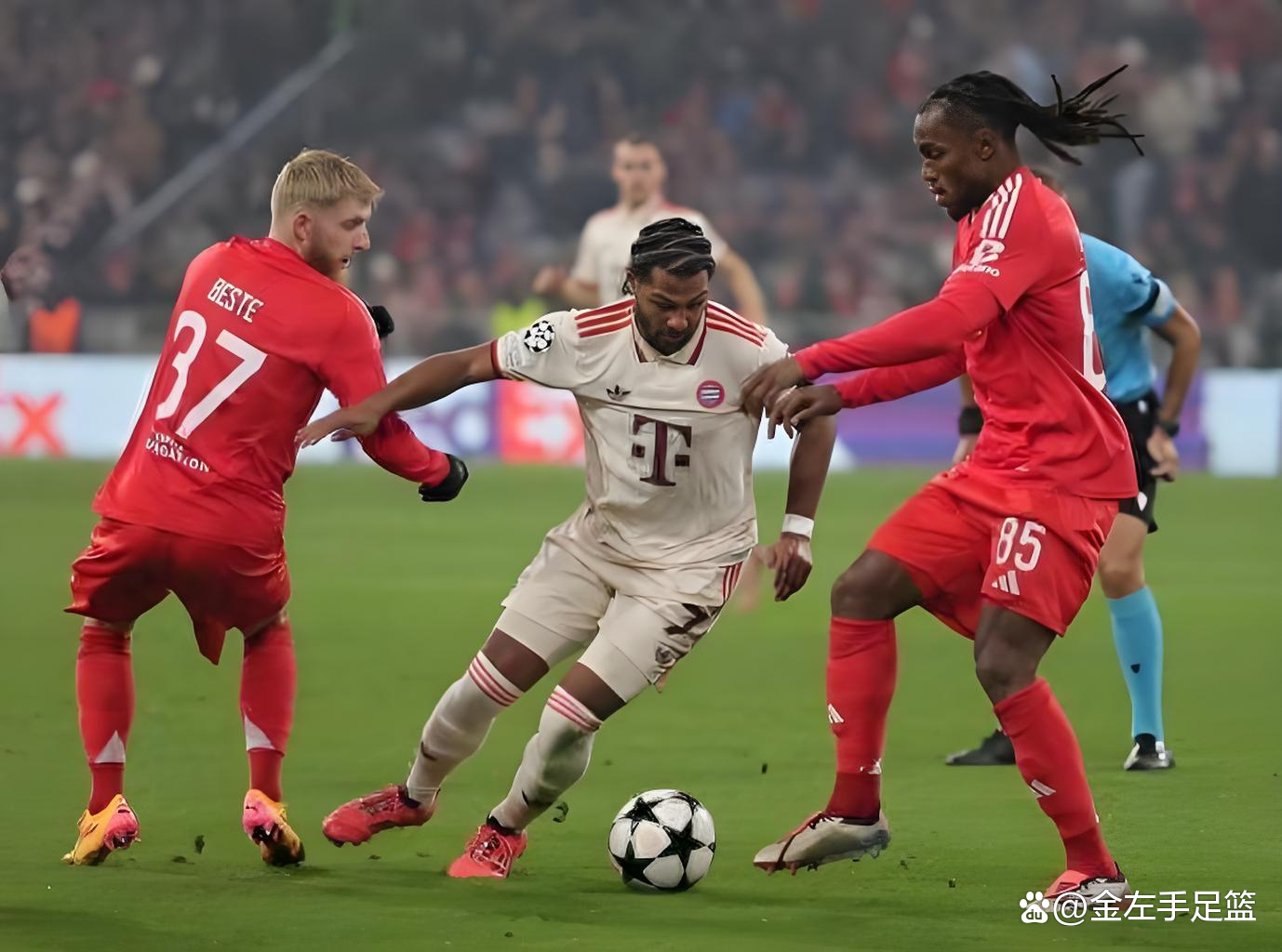 欧篮联:瓦伦西亚VS拜仁慕尼黑的简单介绍 第2张 欧篮联:瓦伦西亚VS拜仁慕尼黑的简单介绍 第2张