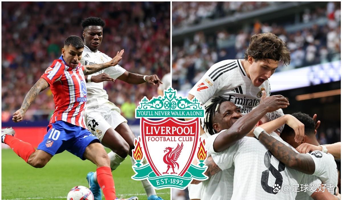 关于曝利物浦无意签约约克雷斯并非是优先目标的信息  第1张