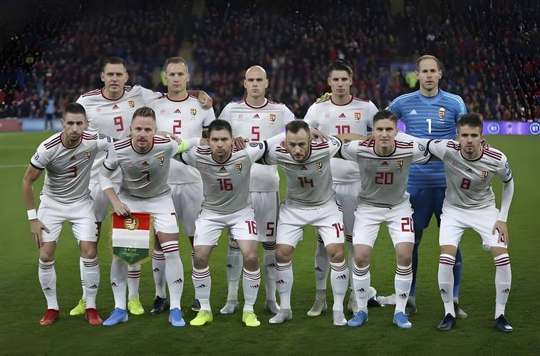 世预赛爱尔兰VS匈牙利预测爱尔兰主场作战的简单介绍 第1张 世预赛爱尔兰VS匈牙利预测爱尔兰主场作战的简单介绍 第1张