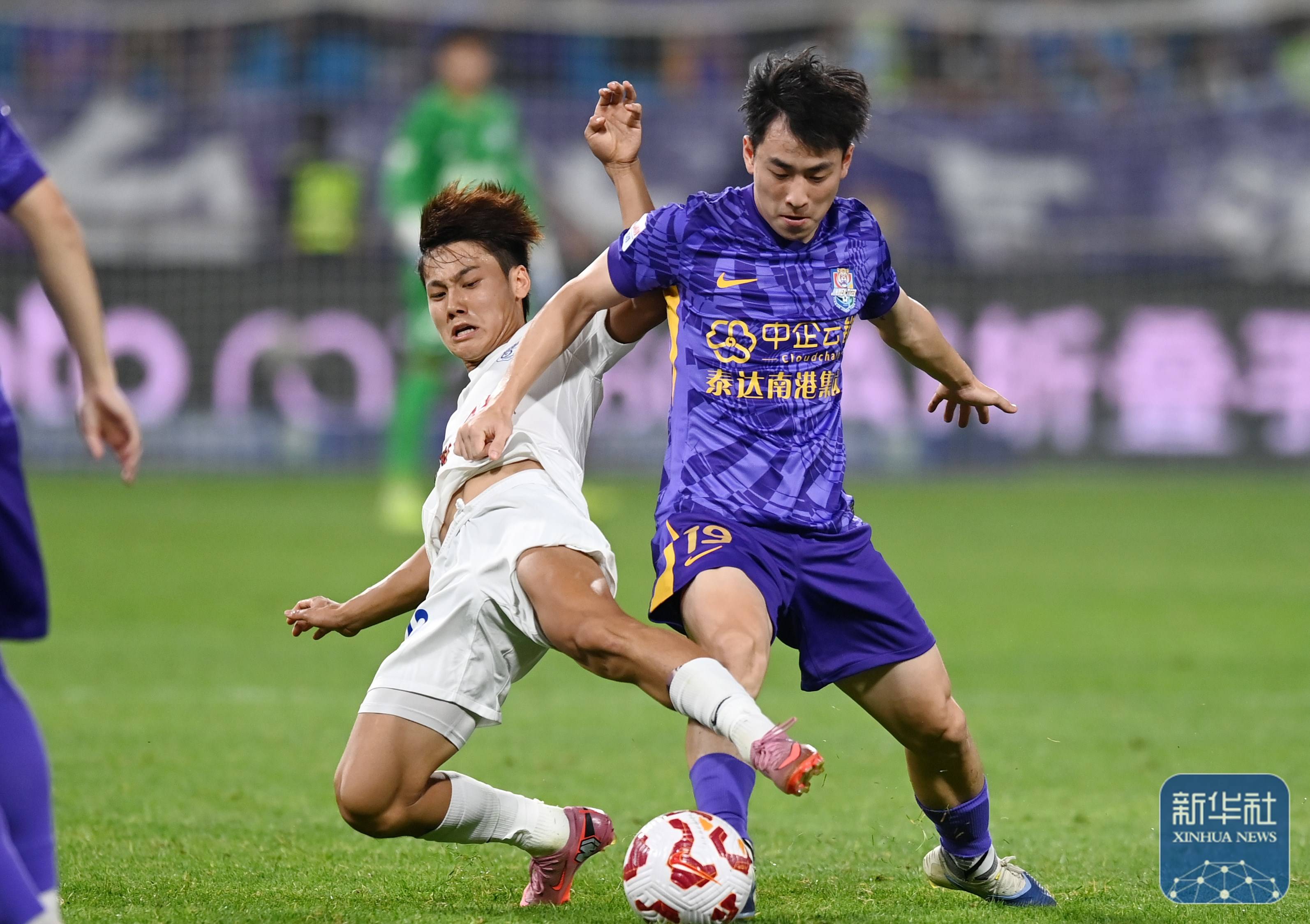 包含中超青岛海牛VS天津津门虎前瞻预测保级与争四的激烈碰撞的词条  第2张