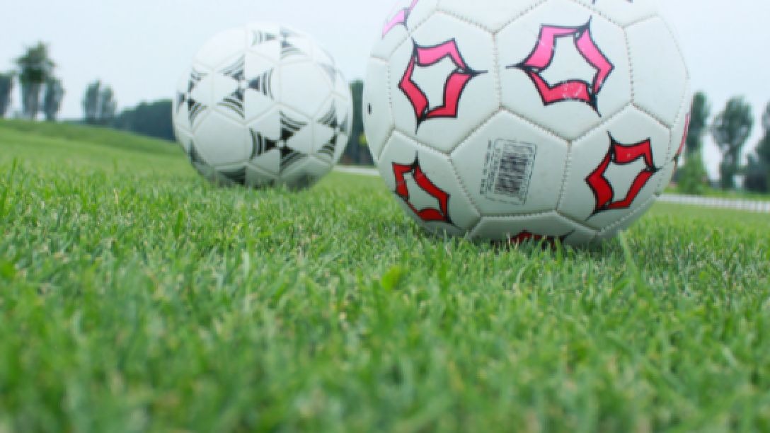 世欧预保加利亚VS西班牙预测分析西班牙实力强大且比赛经验丰富的简单介绍  第1张