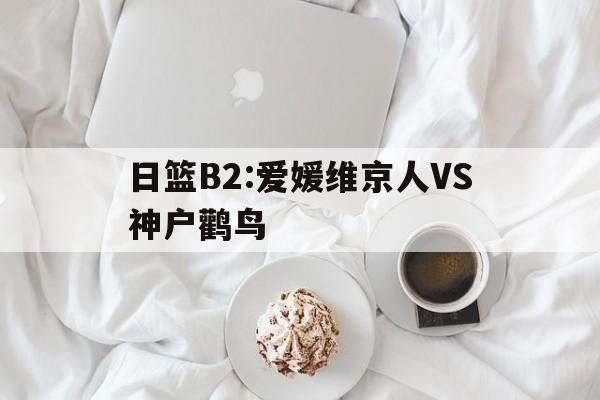 关于日篮B2:爱媛维京人VS神户鹳鸟的信息  第1张
