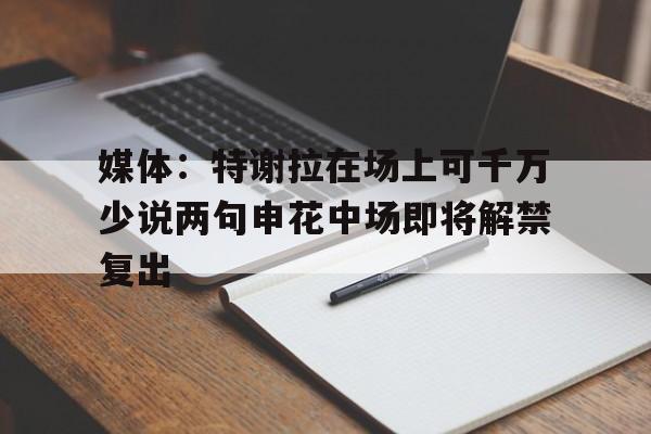 媒体：特谢拉在场上可千万少说两句申花中场即将解禁复出的简单介绍  第1张