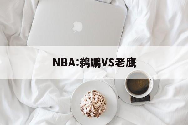 NBA:鹈鹕VS老鹰
