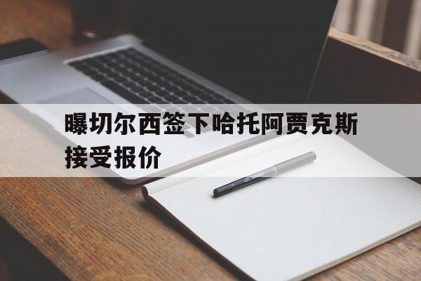 曝切尔西签下哈托阿贾克斯接受报价